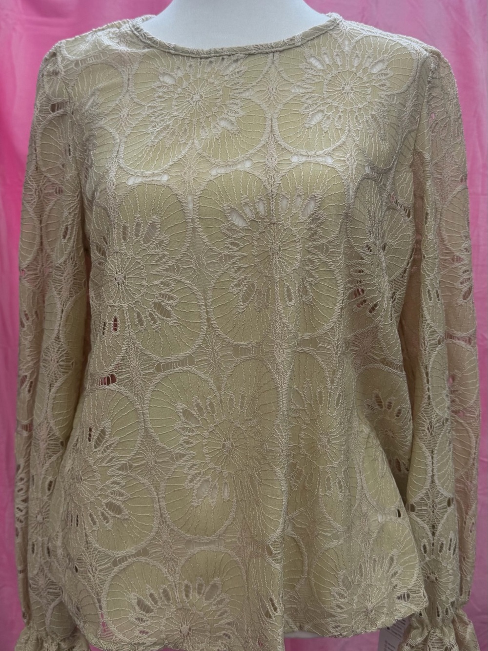 Cupshe Beige Floral Lace Long-Sleeve Top